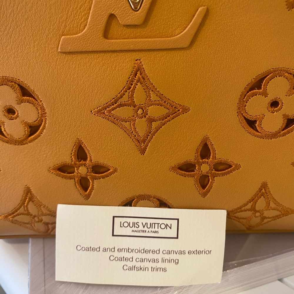 Louis Vuitton limited edition Capuchin Mini Tan Handbag. Microchipped - Picture 7 of 9